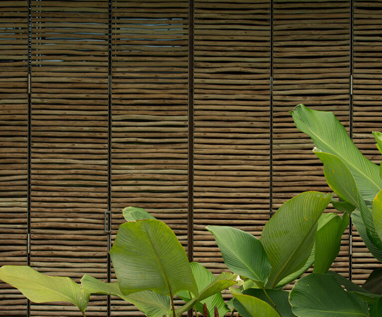 Façade en bambou devant une végétation tropicale